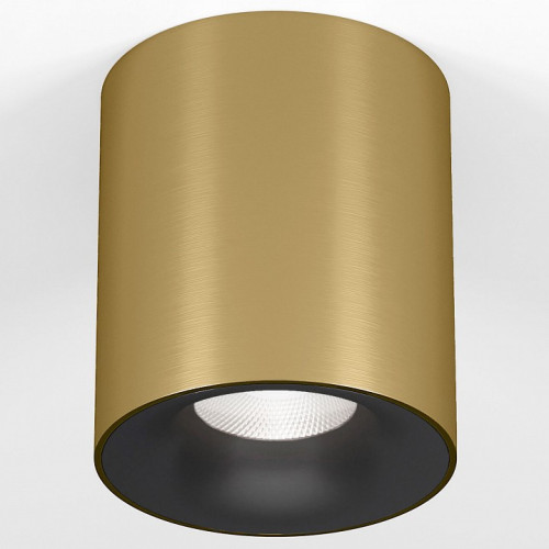 Накладной светильник Elektrostandard Primo 25116/LED