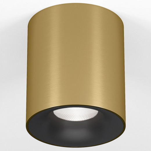 Накладной светильник Elektrostandard Primo 25116/LED