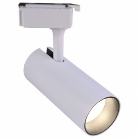 Светильник на штанге Эра  TR5-10 COB WH