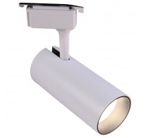 Светильник на штанге Эра  TR5-30 COB WH