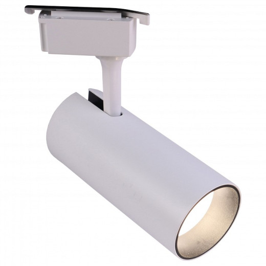 Светильник на штанге Эра  TR5-30 COB WH