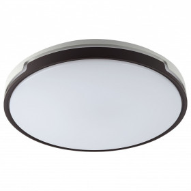 Накладной светильник Эра Классик SPB-6-70-RC Sance