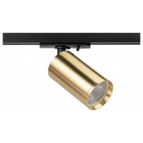 Светильник на штанге Эра  TR39-GU10 BS