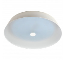 Накладной светильник Эра  SPB-6-60-RC Locus RGB