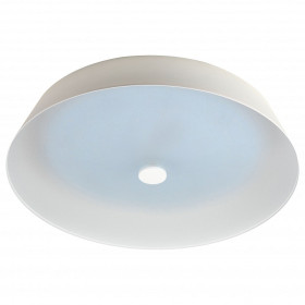 Накладной светильник Эра  SPB-6-60-RC Locus RGB