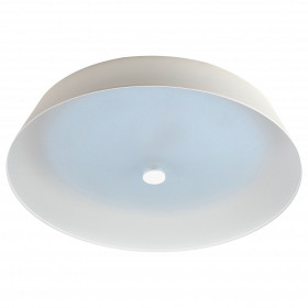 Накладной светильник Эра  SPB-6-80-RC Locus RGB