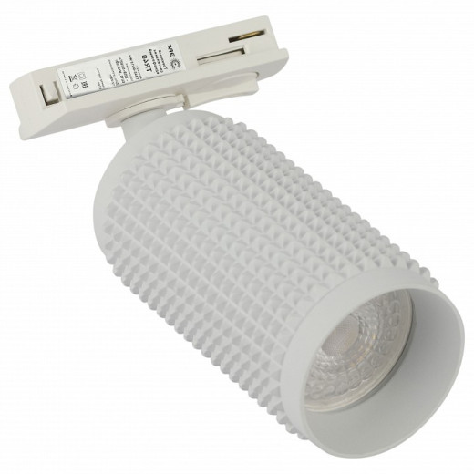 Светильник на штанге Эра  TR40-GU10 WH