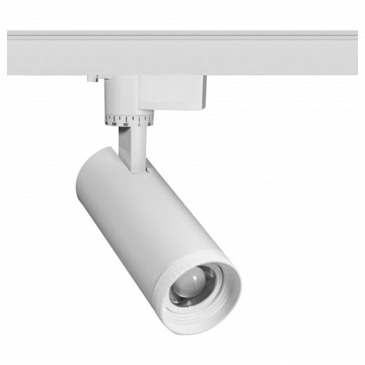 Светильник на штанге Эра  TR59 - 2030 WH