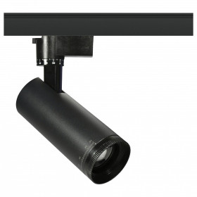 Светильник на штанге Эра  TR59 - 2030 BK
