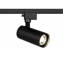 Светильник на штанге Эра  TR59 - 2040 BK