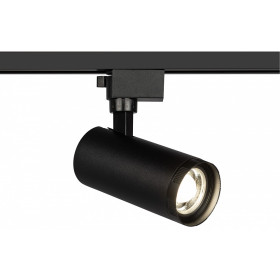 Светильник на штанге Эра  TR59 - 2040 BK