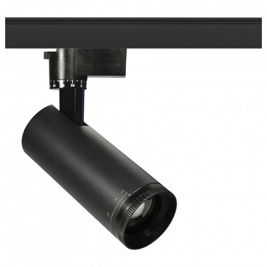 Светильник на штанге Эра  TR59 - 3030 BK
