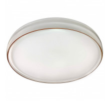 Накладной светильник Эра  SPB-6-80-RC Solar