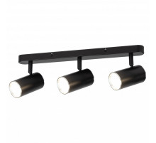 Спот Эра  OL35-3 BK