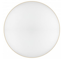 Накладной светильник Эра Relict Relict 48 Pult SPB-6-60-RC MG