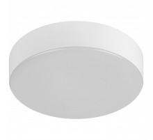 Накладной светильник Эра Relict Relict 22 SPB-6-20 4К WH