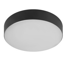 Накладной светильник Эра Relict Relict 22 SPB-6-20 4К BK