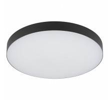 Накладной светильник Эра Relict Relict 38 SPB-6-40 4К BK