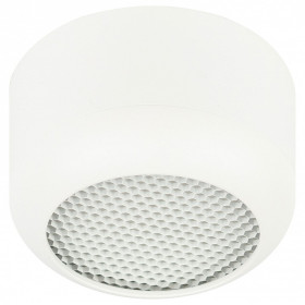 Накладной светильник Эра  OL56 WH