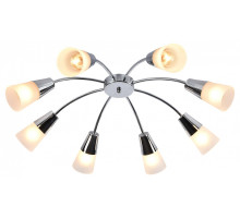 Потолочная люстра Escada Aquilegia 1100/8P Chrome