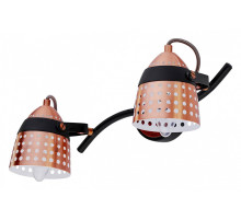 Спот Escada Martin 1138/2A