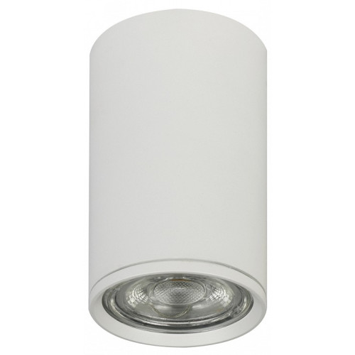 Накладной светильник Escada 20001 20001SMU/01 SWH