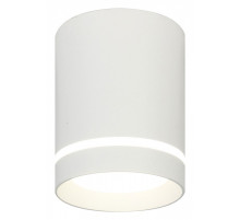 Накладной светильник Escada 20009 20009SMU/01LED SWH