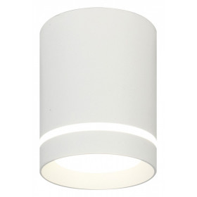 Накладной светильник Escada 20009 20009SMU/01LED SWH