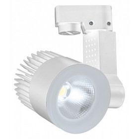 Светильник на штанге Escada 20030 20030TRA/02LED SWH