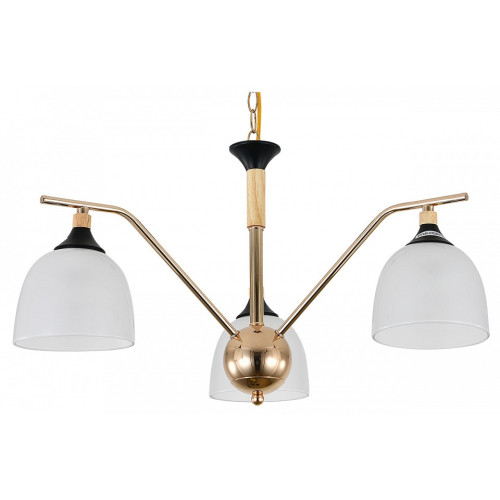 Подвесная люстра Escada Actinidia 2123/3P