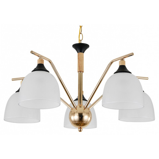 Подвесная люстра Escada Actinidia 2123/5P