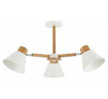 Люстра на штанге EVOLUCE Buve SLE103702-03