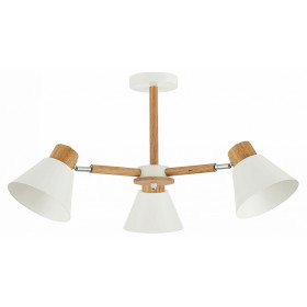 Люстра на штанге EVOLUCE Buve SLE103702-03