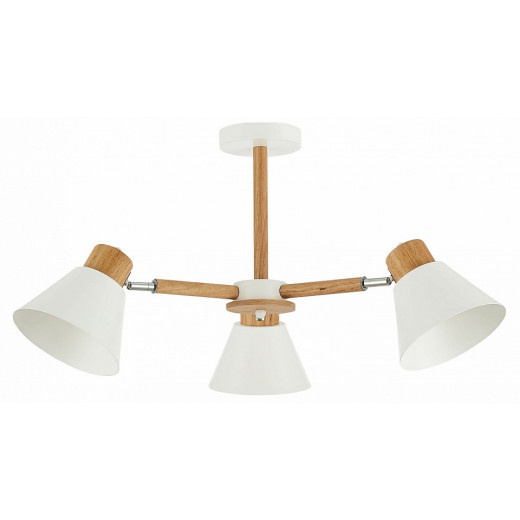 Люстра на штанге EVOLUCE Buve SLE103702-03