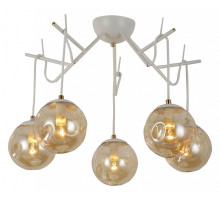 Потолочная люстра EVOLUCE Calletta SLE110202-05