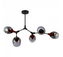 Люстра на штанге EVOLUCE Ciotolla SLE113402-05