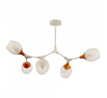 Люстра на штанге EVOLUCE Ciotolla SLE113502-05