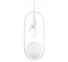 Подвесной светильник EVOLUCE Tenato SLE115123-01