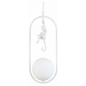 Подвесной светильник EVOLUCE Tenato SLE115123-01