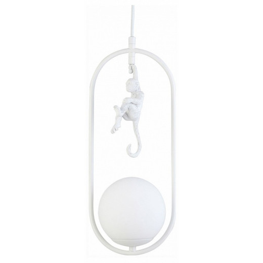 Подвесной светильник EVOLUCE Tenato SLE115123-01