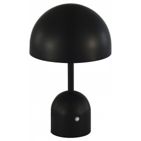 Настольная лампа декоративная EVOLUCE Eclat SLE1806-404-01