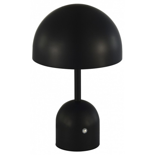 Настольная лампа декоративная EVOLUCE Eclat SLE1806-404-01