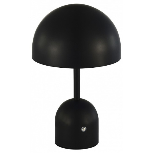 Настольная лампа декоративная EVOLUCE Eclat SLE1806-404-01