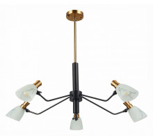 Люстра на штанге EVOLUCE Lita SLE205403-05