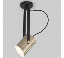 Светильник на штанге Eurosvet Italio 20092/1 черный/античная бронза