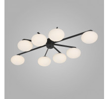 Потолочная люстра Eurosvet Opaline 70220/8 черный