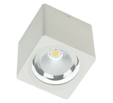 Накладной светильник Fiberli CH-SD220 12120101