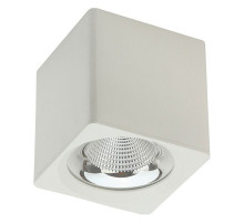 Накладной светильник Fiberli CH-SD230 12120102