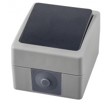 Выключатель одноклавишный влагозащищенный Stekker Велена 32756