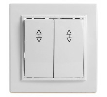 Выключатель двухклавишный Stekker Эрна 39919